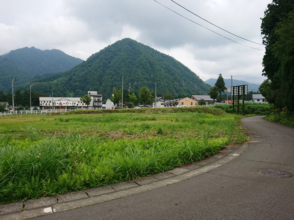 (外観) (外観)