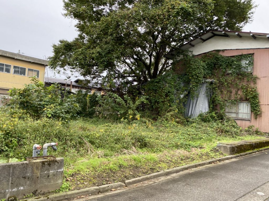 (外観) (外観)