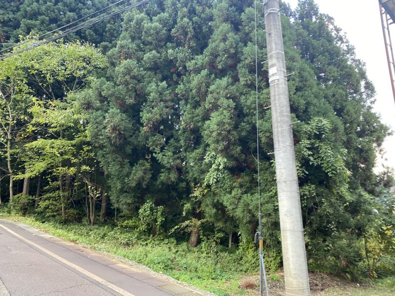 (外観) (外観)